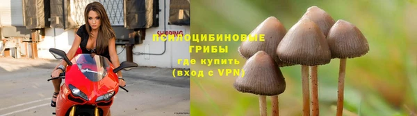 прущая мука Аркадак