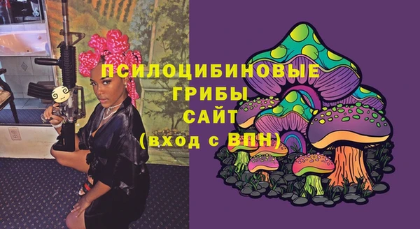 прущая мука Аркадак