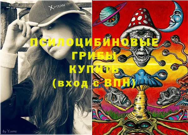 прущая мука Аркадак